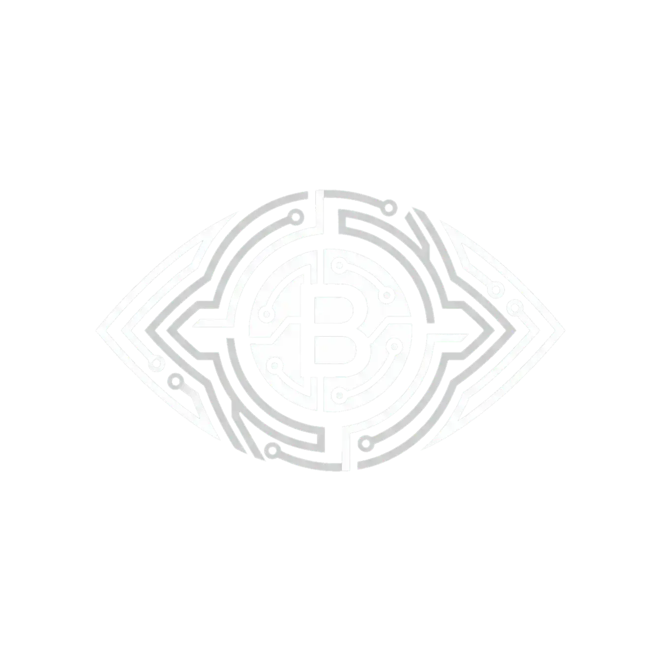 B级文件翻译完整版 - 情报机构标识